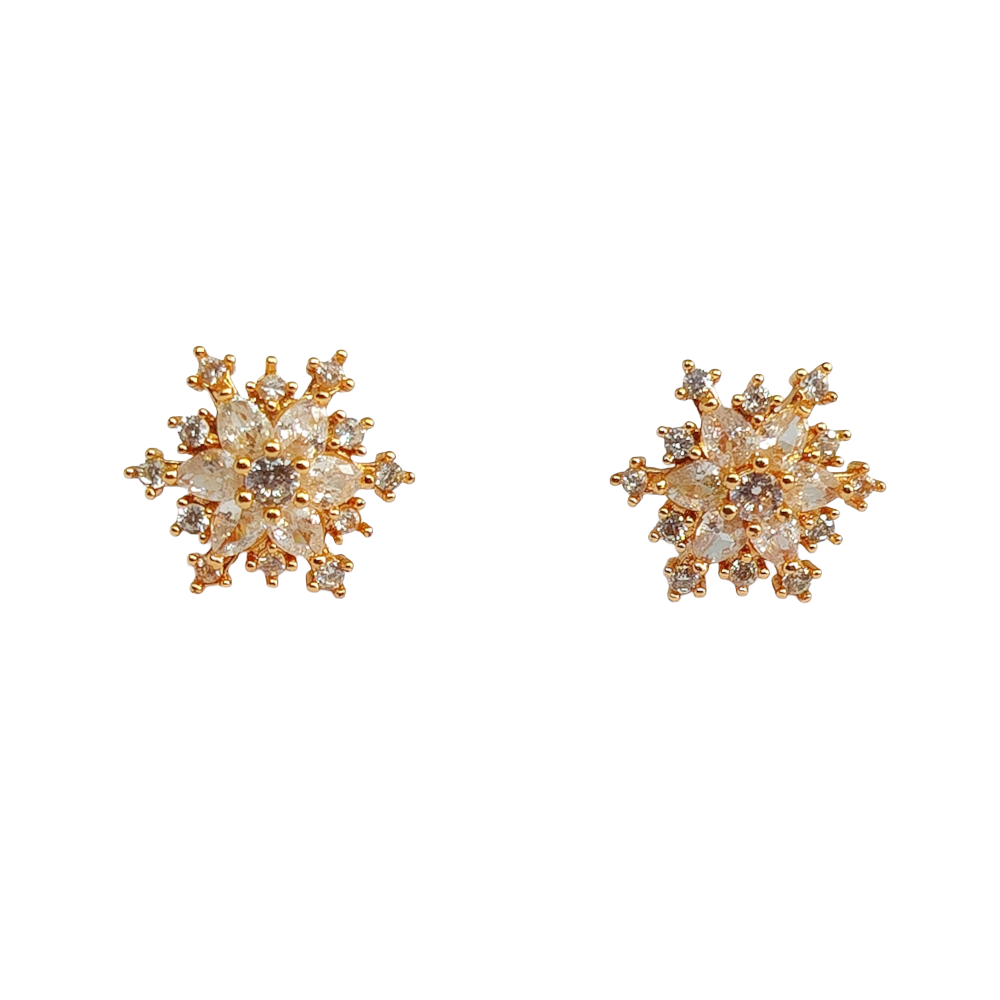 WZ 2617 - Image 2